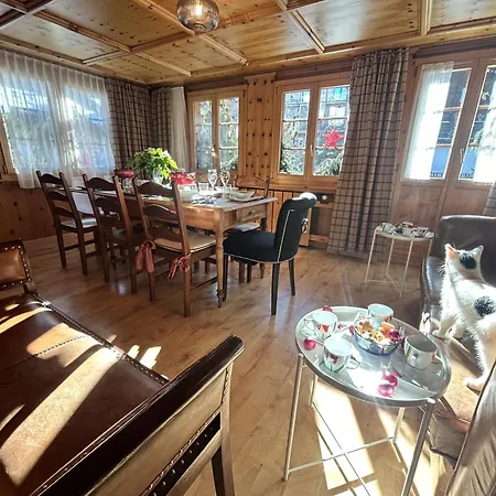 Cozy In Cozy Shared Flat - Prime Location Homestay *